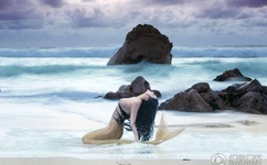 国产精品九九免费视频